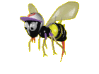 sixième
