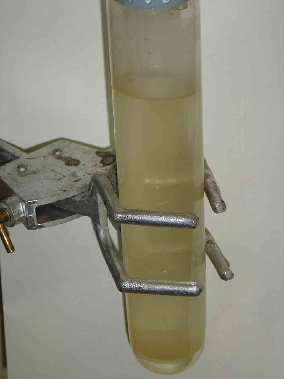 cliquer pour la conclusion